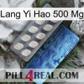 Lang Yi Hao 500 Mg 34